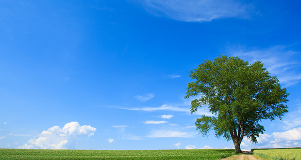 環境への取り組み