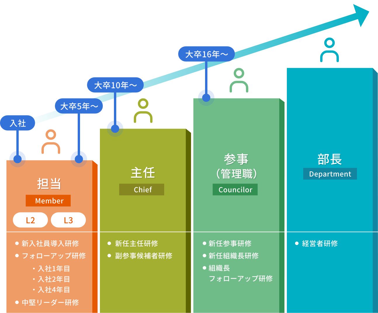 階層別の研修